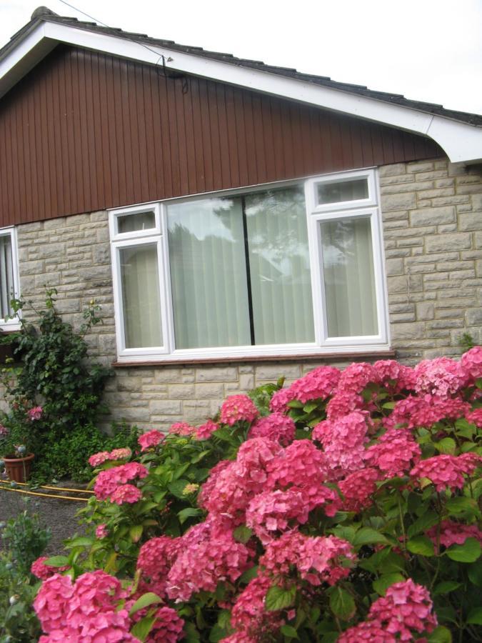 Pine Lodge Barton on Sea Exterior photo